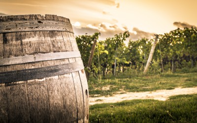 Un corso di alta formazione per le nuove professioni del Food & Beverage