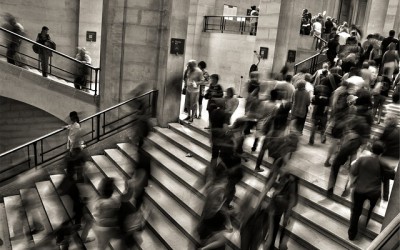 I corsi di laurea della Scuola di Scienze Politiche e Sociali