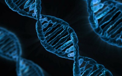 La Scuola di Scienze Biotecnologiche, l’investimento giusto