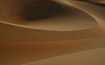 L’Università di Urbino istituisce sei scuole di restauro in Tunisia