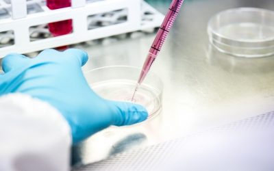 “StartupItalia! Open Summit 2018”: EryDel startup dell’anno!