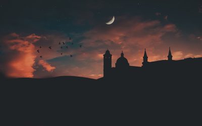 Uniurb: la lunga Notte dei Musei 2019