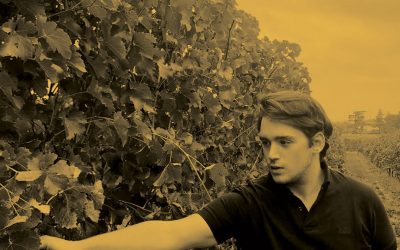 Agricoltura biologica: il corso di formazione permanente di Uniurb